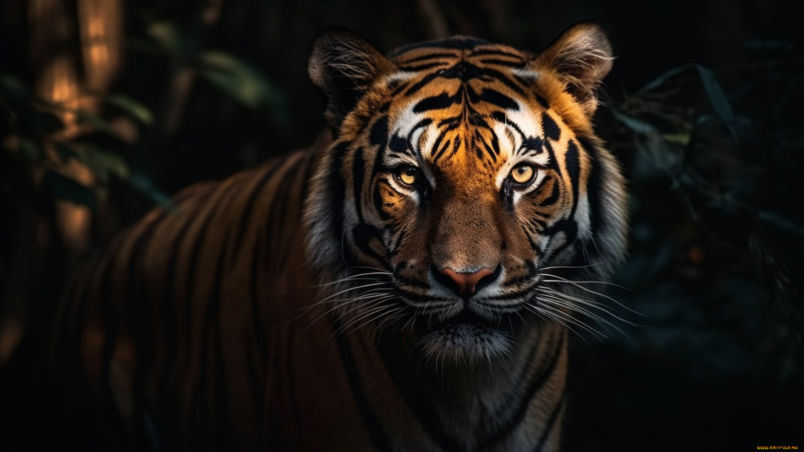 3 ,  , animals, , , , , , , , -, 